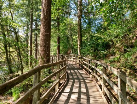 featured image update from the wybrnant valley changing scene