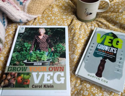 header image autumn has arrived