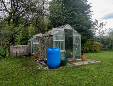 Our greenhouses. The green(ie) fingers diaries by A Hopeful Home. One step at a time.